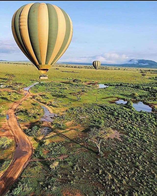 Serengeti View